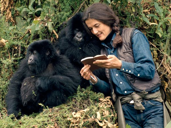 dian fossey